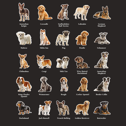 The 25 Dogs T-shirt Black