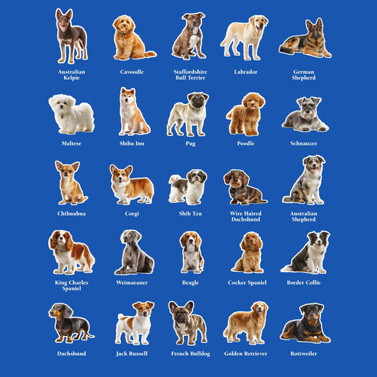 The 25 Dogs T-shirt Blue